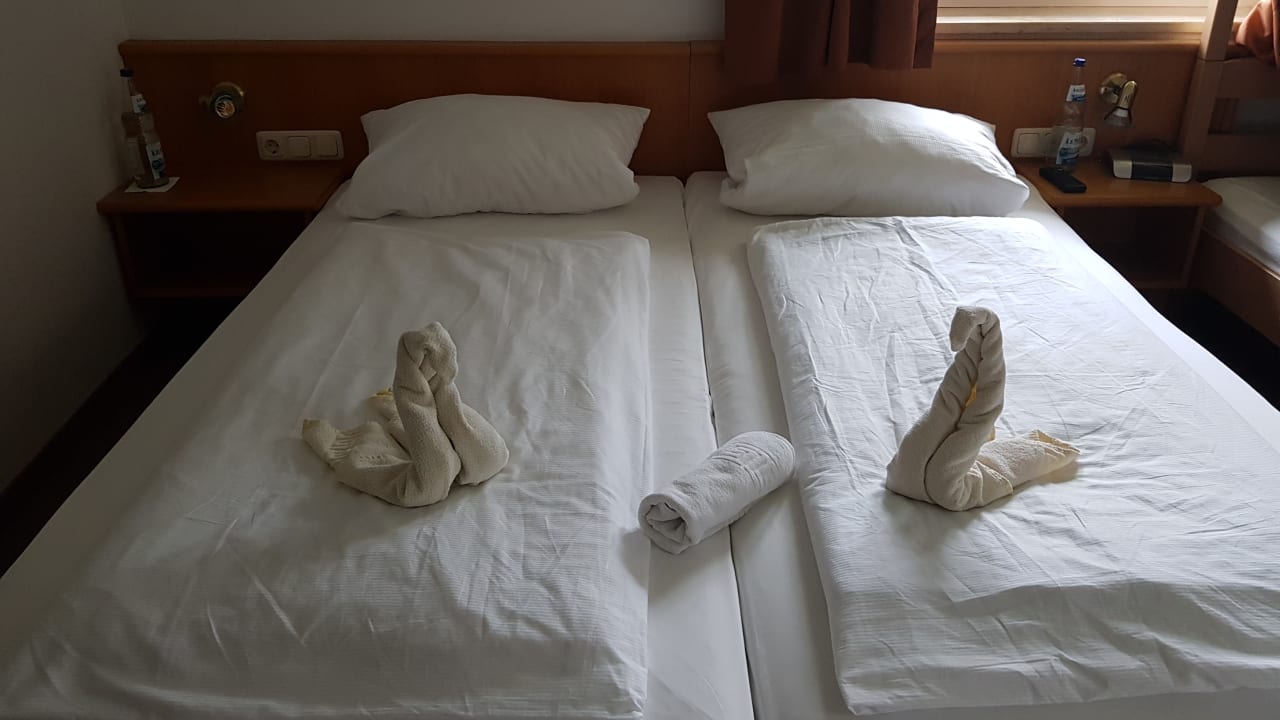 Zimmer Hunderesort Waldeck