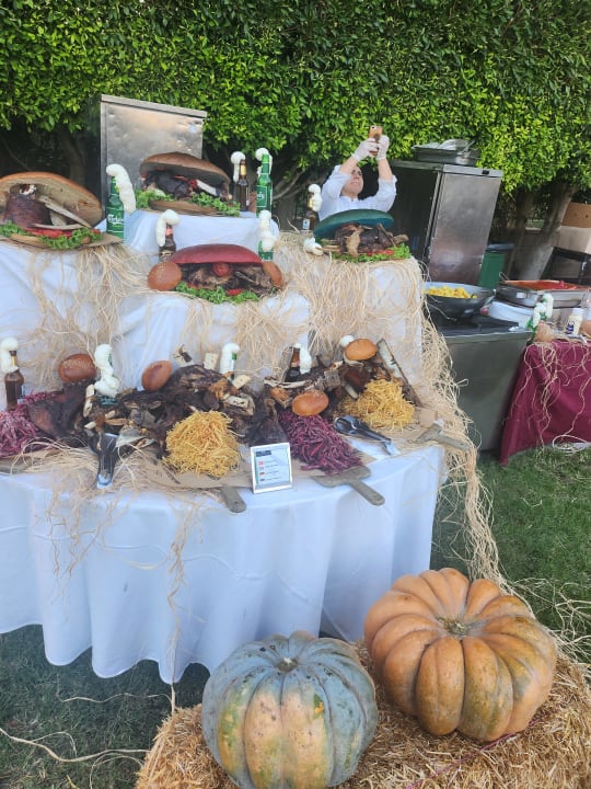 Sonstiges Sherwood Exclusive Lara