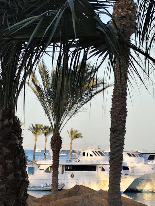 Strand Regina Resort and Aqua Park Hurghada