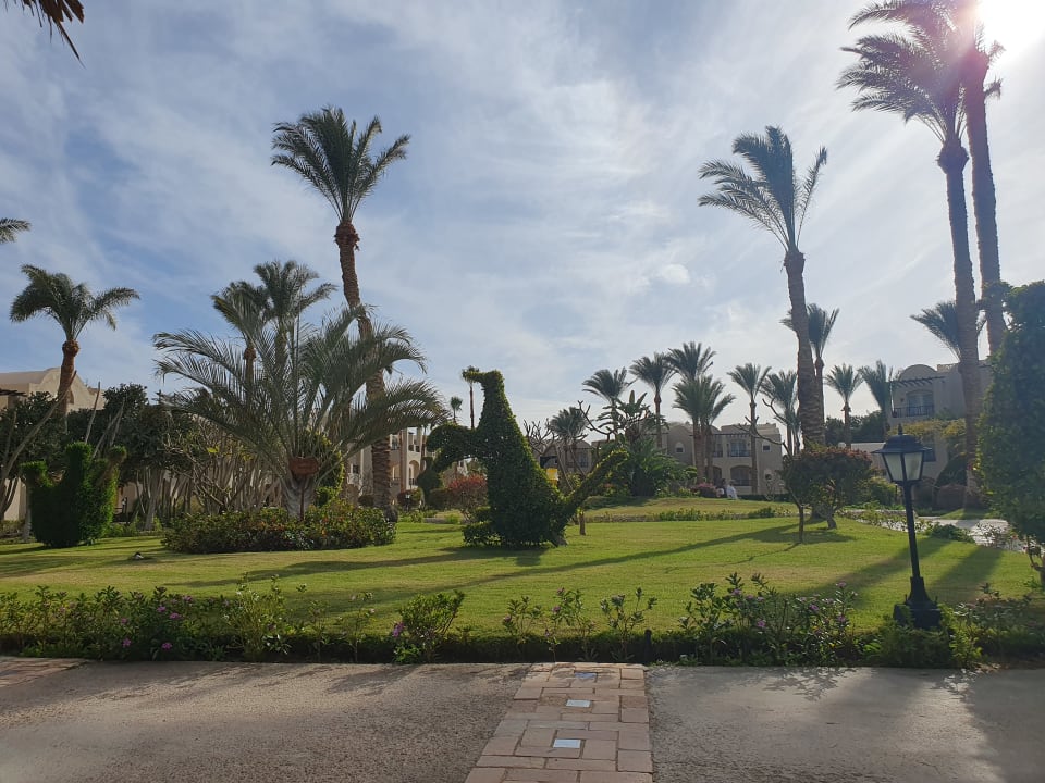 Gartenanlage Jaz Makadi Oasis Resort