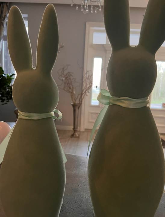 Lobby Dworek Bukowy Park