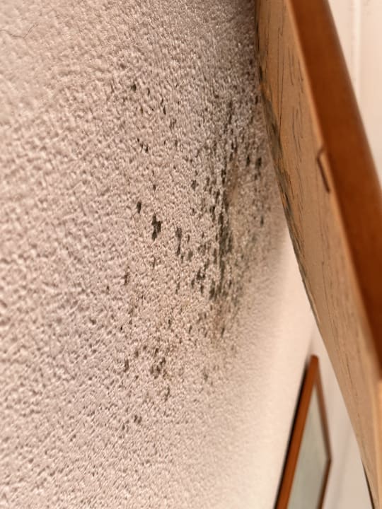 Zimmer Sol y Mar Apartments