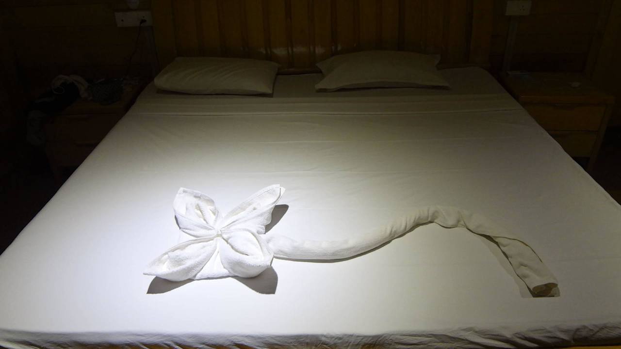 Ala Goa Ala Goa Resort