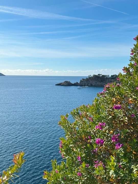 Außenansicht allsun Hotel Bella Paguera