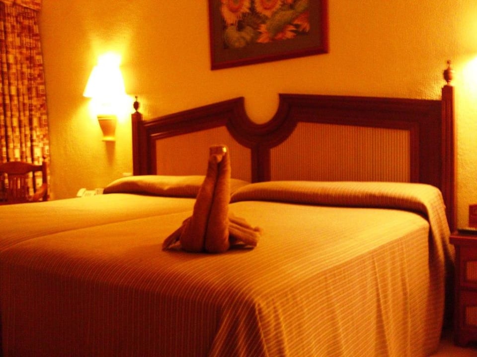 Zimmer  Hotel Riu Tequila