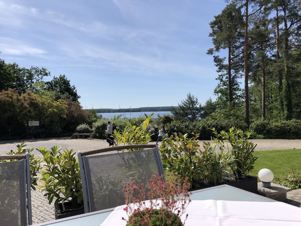 Gastro Precise Resort Bad Saarow am Scharmützelsee