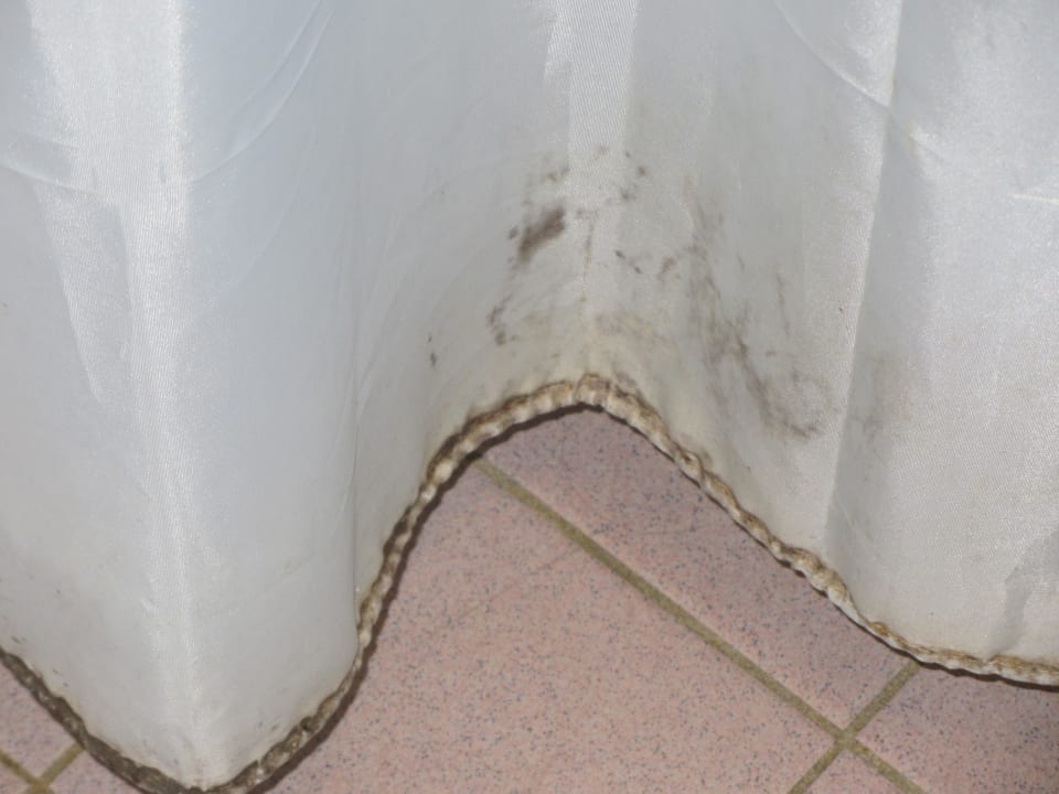 Schimmel Landal Beach Resort Ooghduyne