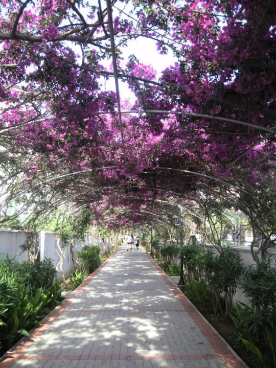 Der schöne Weg zum Strand Alaiye Resort & Spa