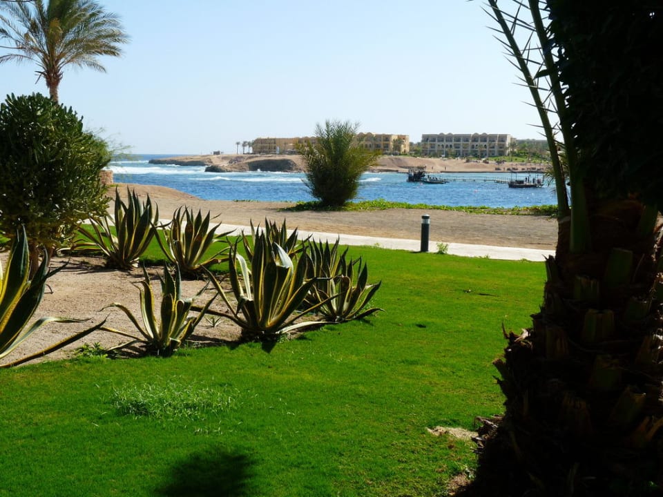 Coraya Beach, Ausblick Steigenberger Coraya Beach - Adults only