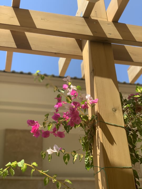 Gartenanlage Can Garden Resort