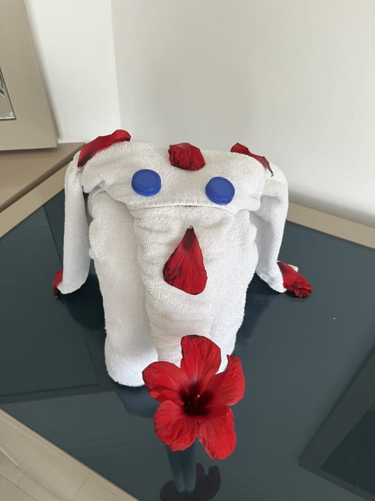 Zimmer Cleopatra Luxury Resort Makadi Bay