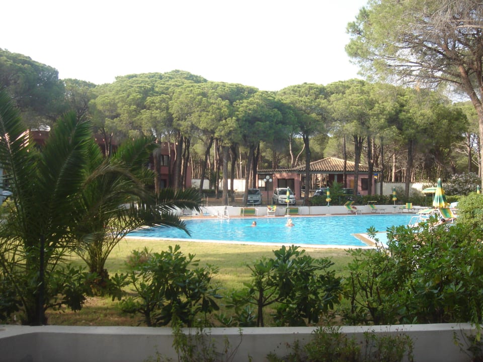 Bazén v zahradě Hotel New Barcavela