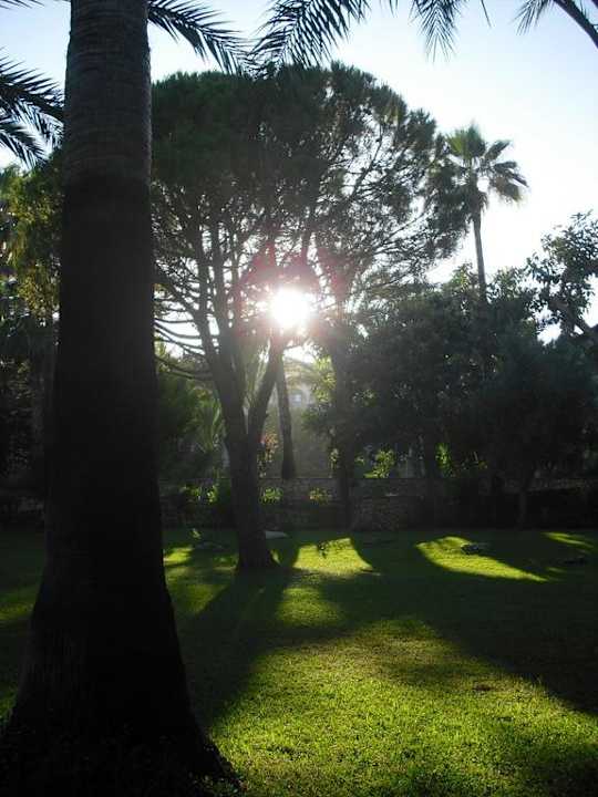 Gartenanlage Alara Hotel