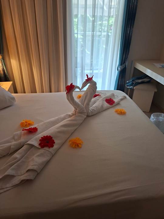 Zimmer Aska Hotel Just in Beach