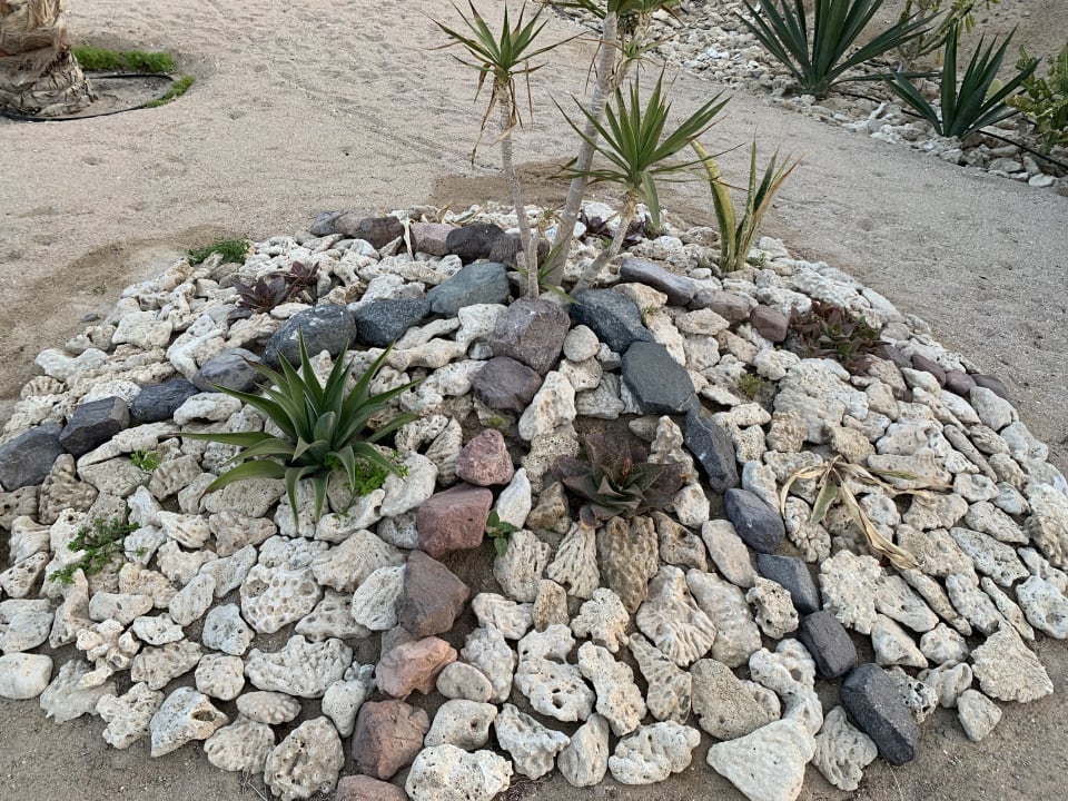 Gartenanlage Coral Sun Beach