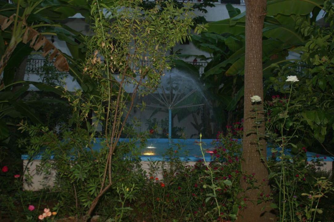 Garten & Fontane Hotel Alkionis