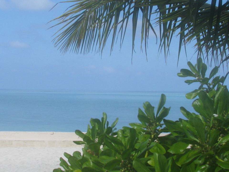 Ein Taum Summer Island Maldives