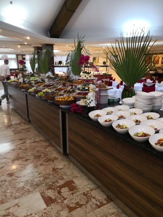 Gastro Papillon Belvil