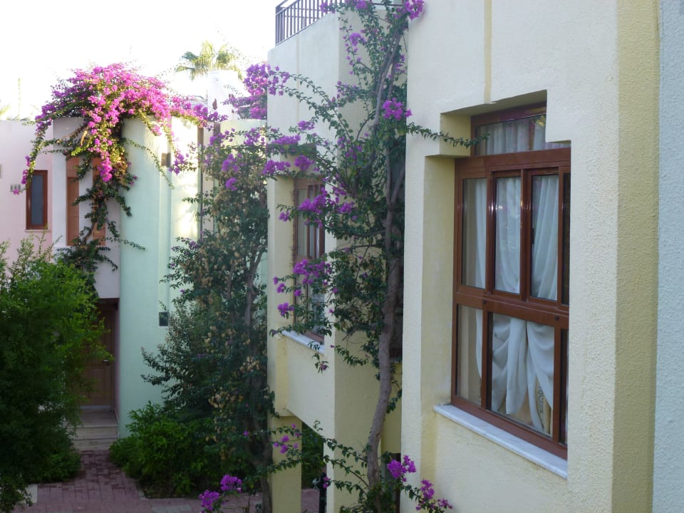 Gemütliche Bungalows in schönem Garten VONRESORT Golden Beach