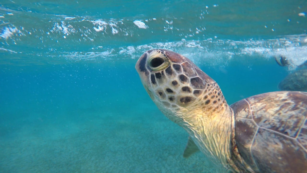 Sport & Freizeit Malikia Resort Abu Dabbab