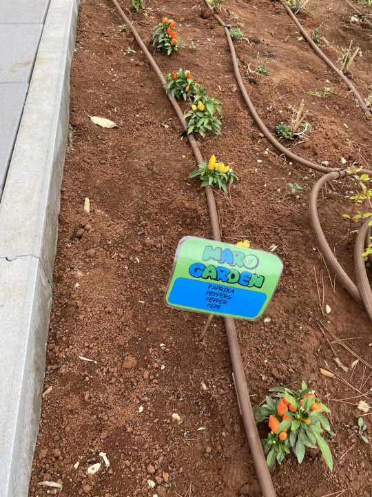 Gartenanlage Valamar Parentino Hotel