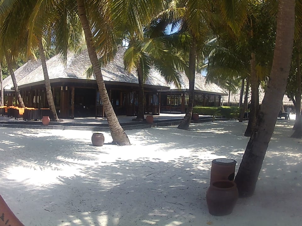 Mit Trommeln empfangen! Meeru Maldives Resort Island