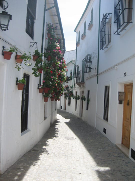 Calle Casa del Rey