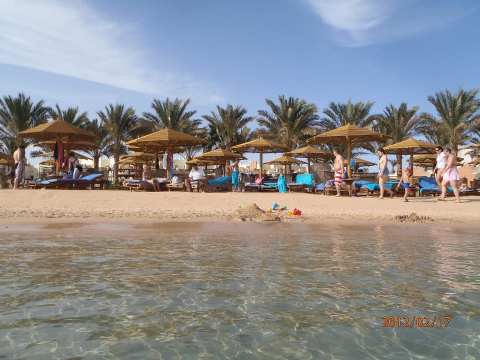 Tauchen  SUNRISE Royal Makadi Resort