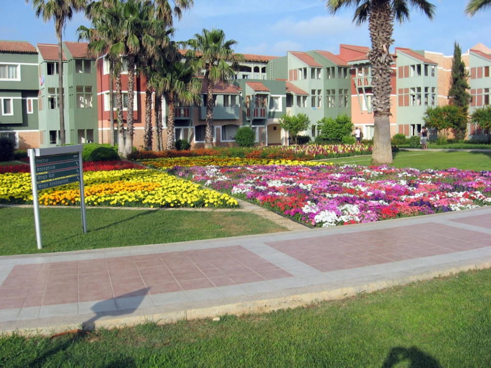 Ein Blumenschwarm Megasaray Club Belek