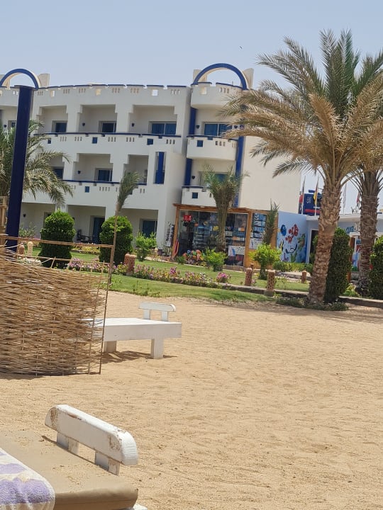 Strand Coral Sun Beach
