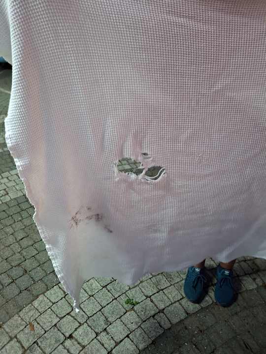 Zimmer Clover Magic Nova Beach