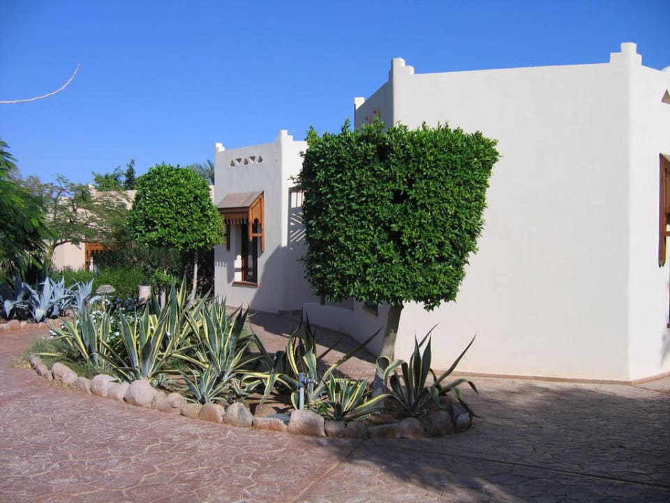 Ogród Hotel Nubian Village