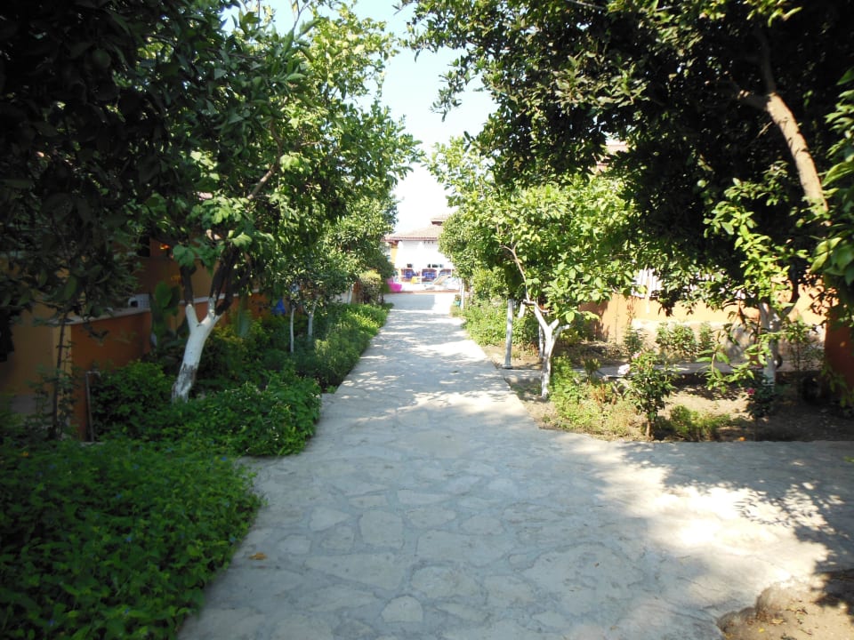 Weg im Garten Özlem Garden Hotel