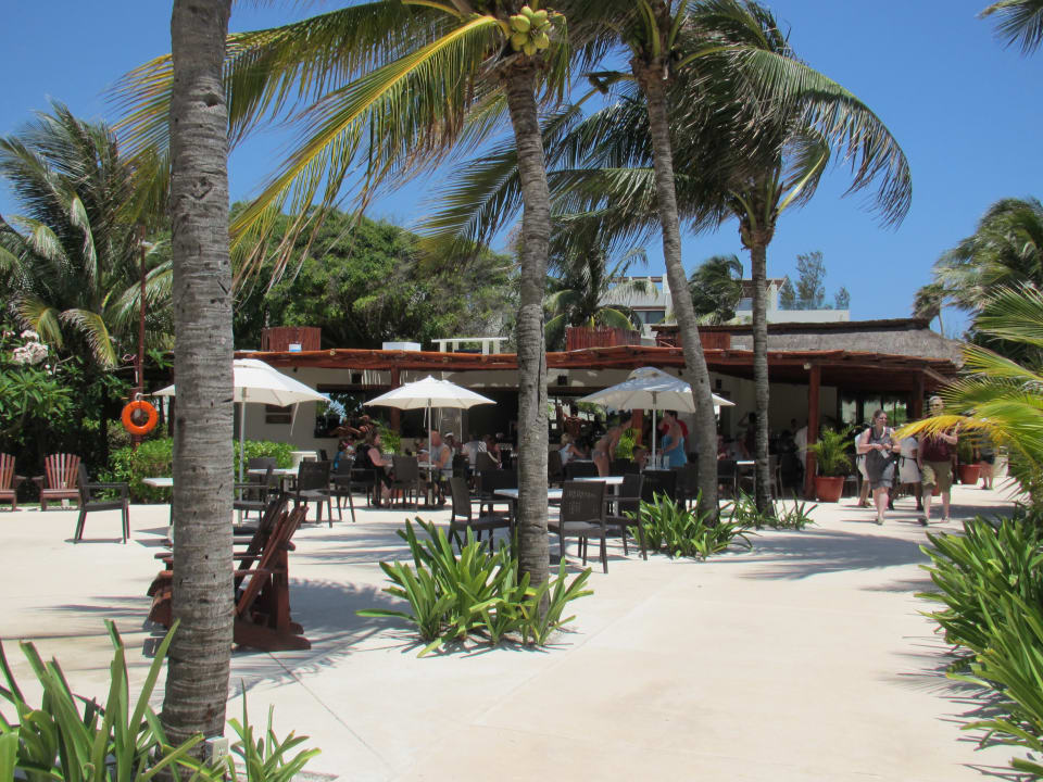 Pool Akumal Bay Beach & Wellness Resort