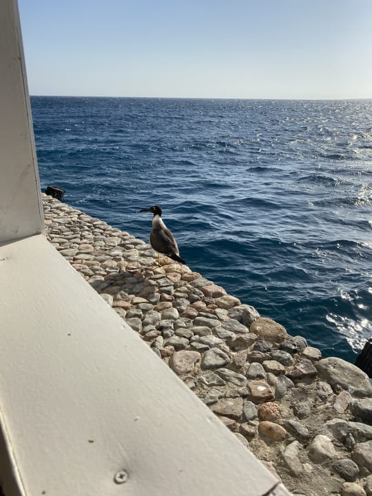 Ausblick Arabella Azur Resort