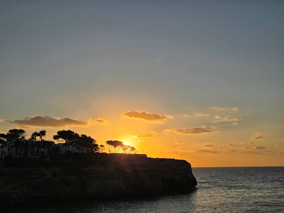 Ausblick Calimera Fido Gardens