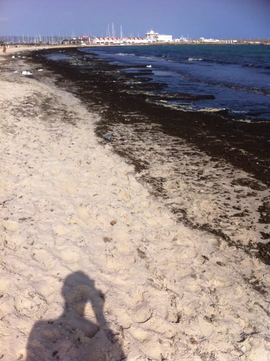 Meer nicht benutzbar Medina Solaria & Thalasso