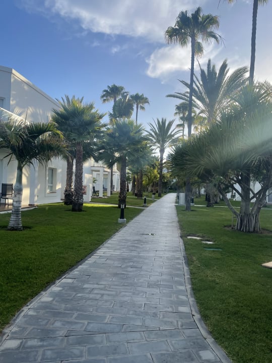 Gartenanlage Hotel Riu Palace Meloneras