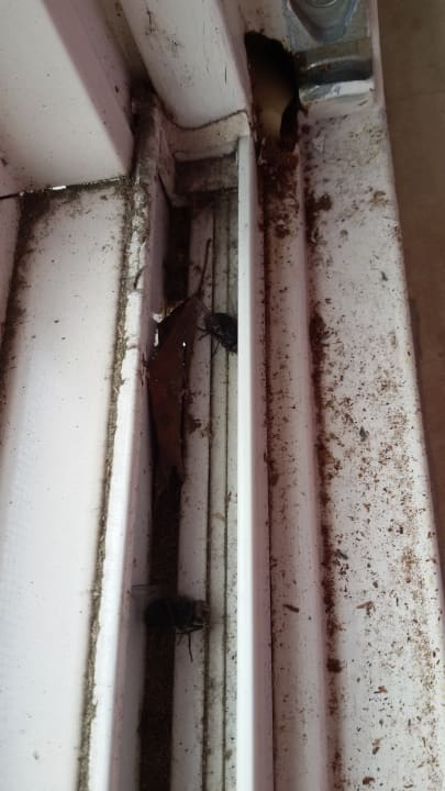 Zimmer Ferienpark Landal Hunerwold State