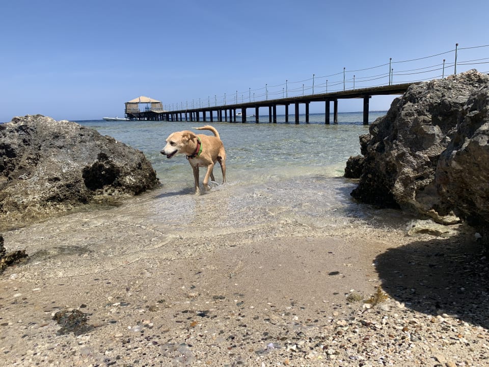 Strand Rohanou Beach Resort