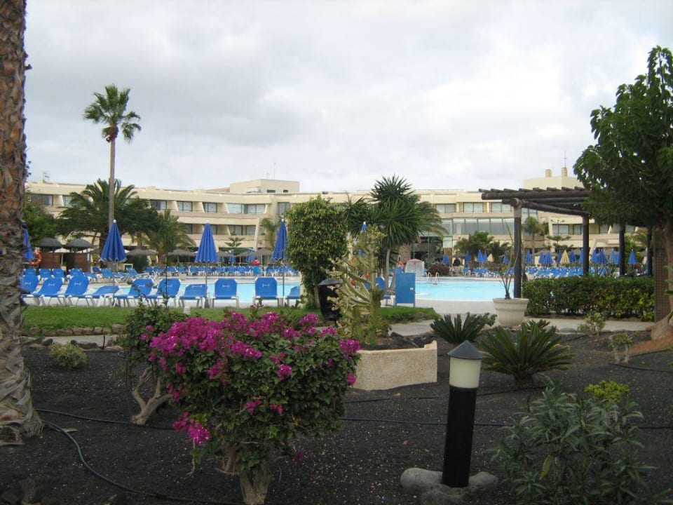 Poolanlage Dreams Lanzarote Playa Dorada Resort & Spa