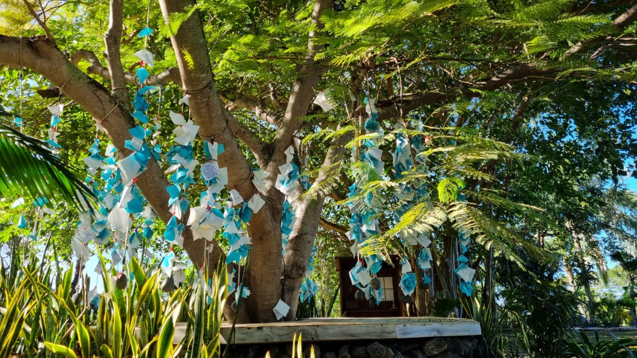 Gartenanlage LUX* Grand Gaube Resort & Villas