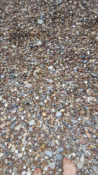 Strand Asteria Collection Side