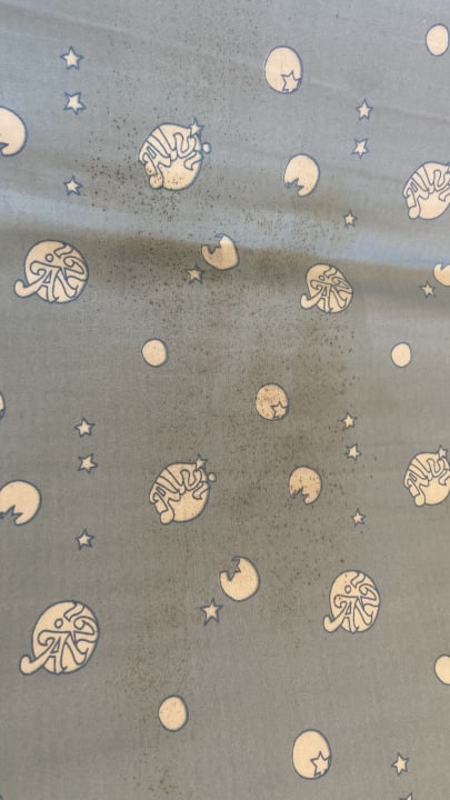 Zimmer Ferienwohnungen Ferienpark Weissenhäuser Strand