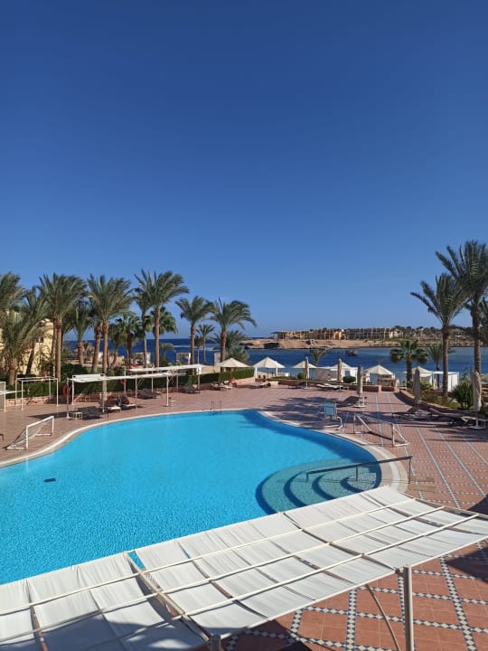 Pool Steigenberger Coraya Beach - Adults only