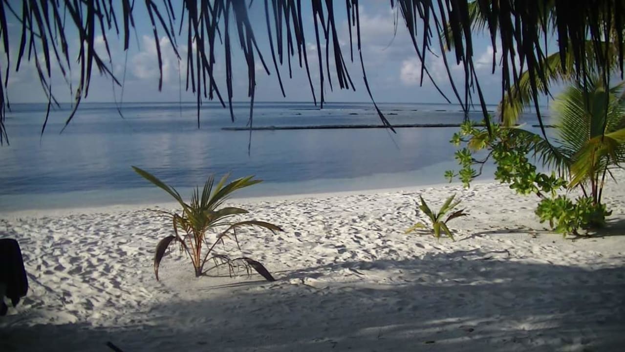 Zimmer Kuredu Island Resort & Spa