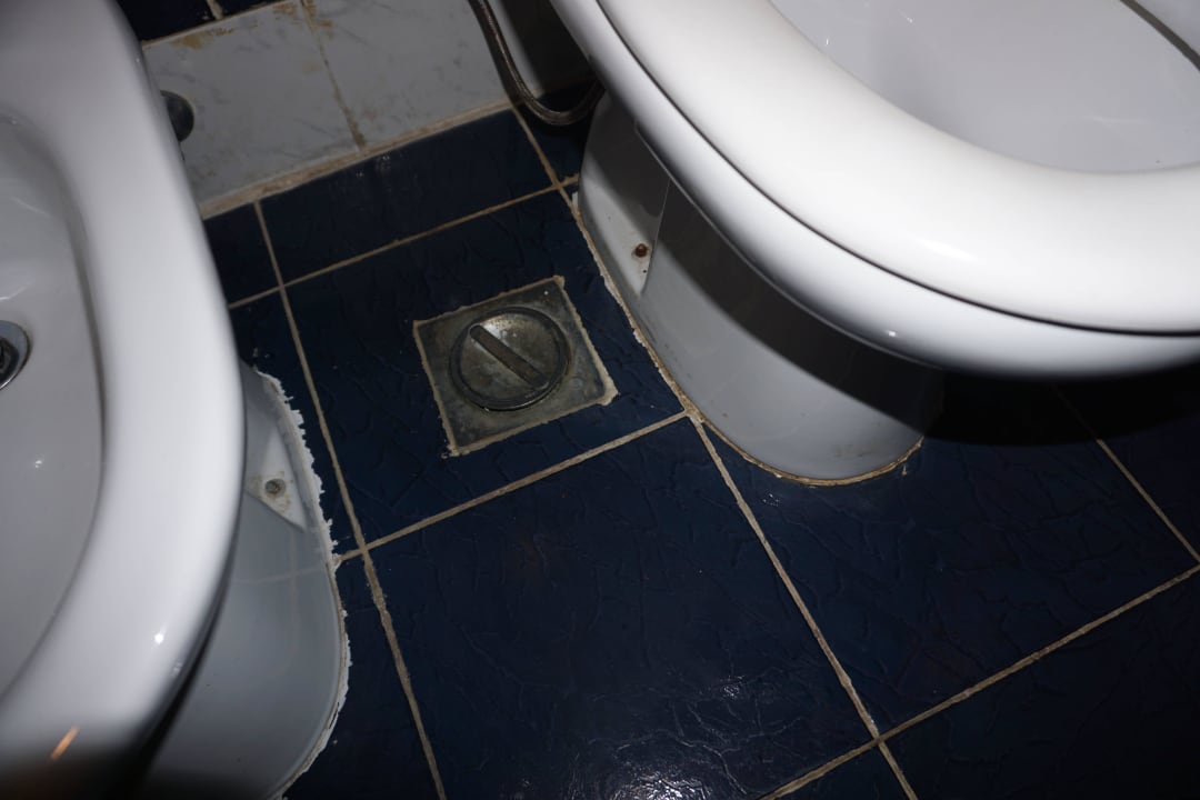 Toilette Desert Rose