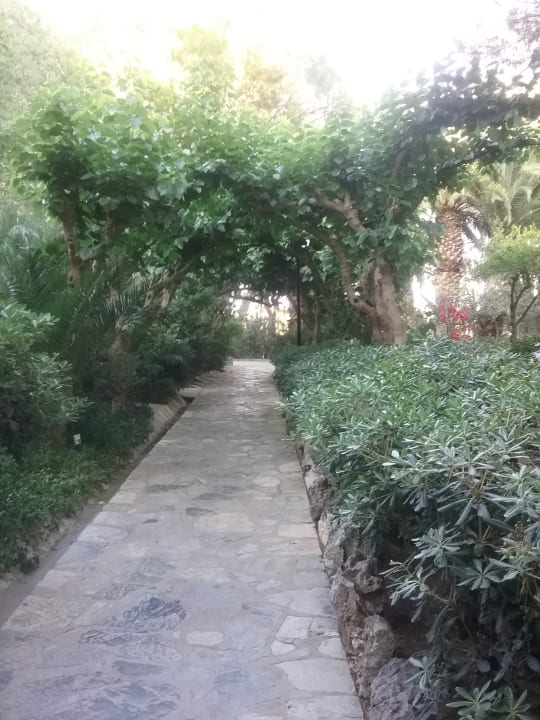 Gartenanlage Apollonia Beach Resort & Spa