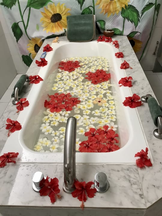 Zimmer Hotel Lanka Princess Ayurveda