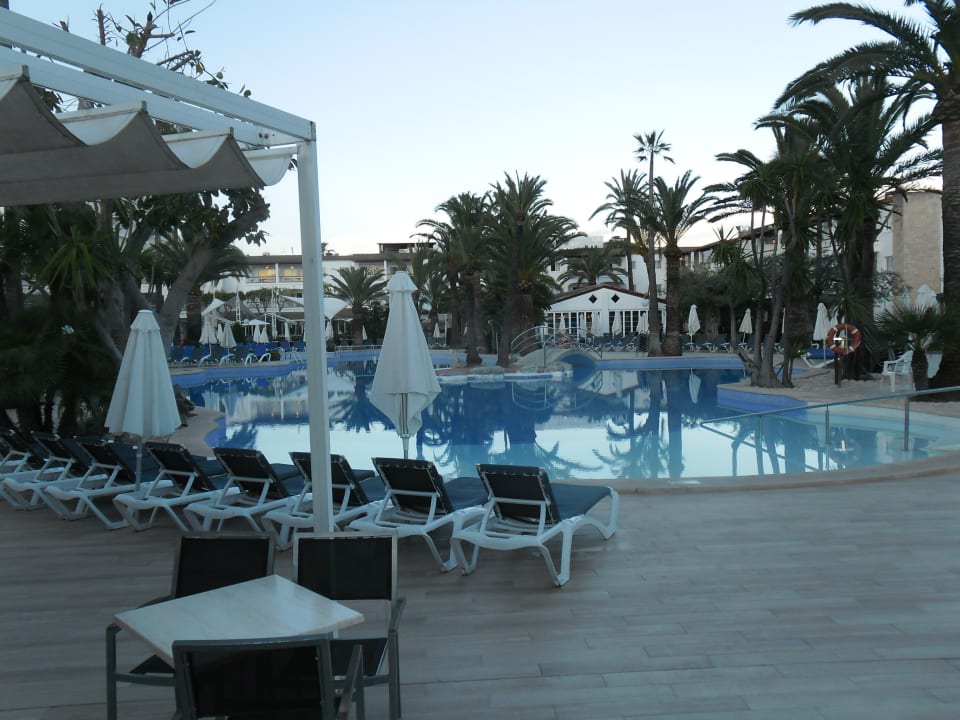 Pool Alcudia Garden Aparthotel